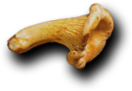 Thierry terrasson - Artisan traiteur - 05 49 69 10 55 - SPAR Menigoute(79)