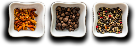 Thierry terrasson - Artisan traiteur - 05 49 69 10 55 - SPAR Menigoute(79)